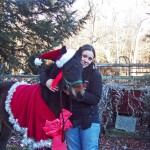 Dressed up for Christmas